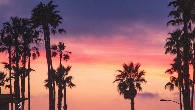They Say San Diego is Lovely This Time of Year