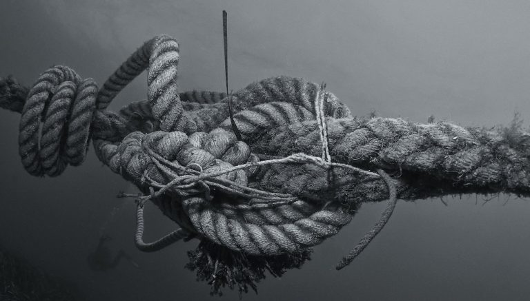 Knots